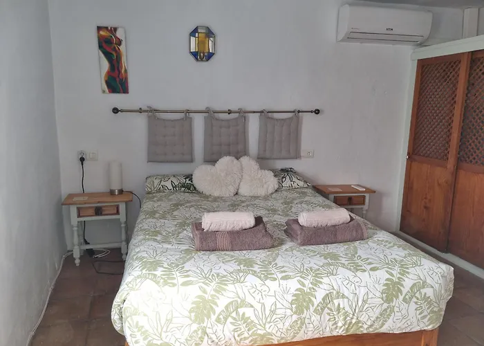 Casa David